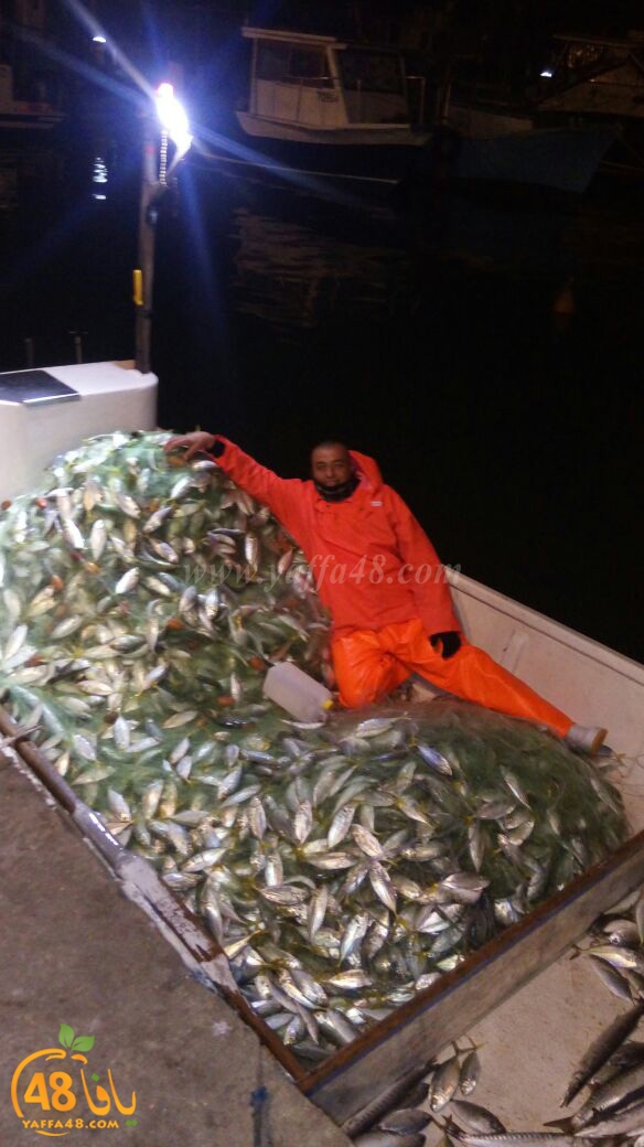 asmak torglos (5).jpg